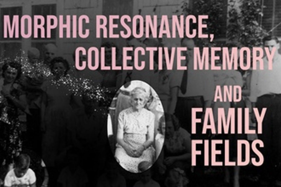 Connaissez-vous la mémoire de votre vivant?