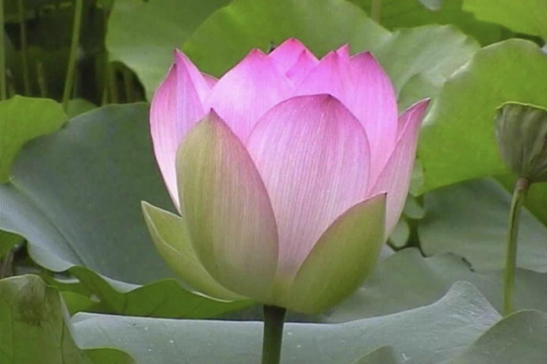 Réveil difficile? Partagez l’énergie du groupe…de chez vous