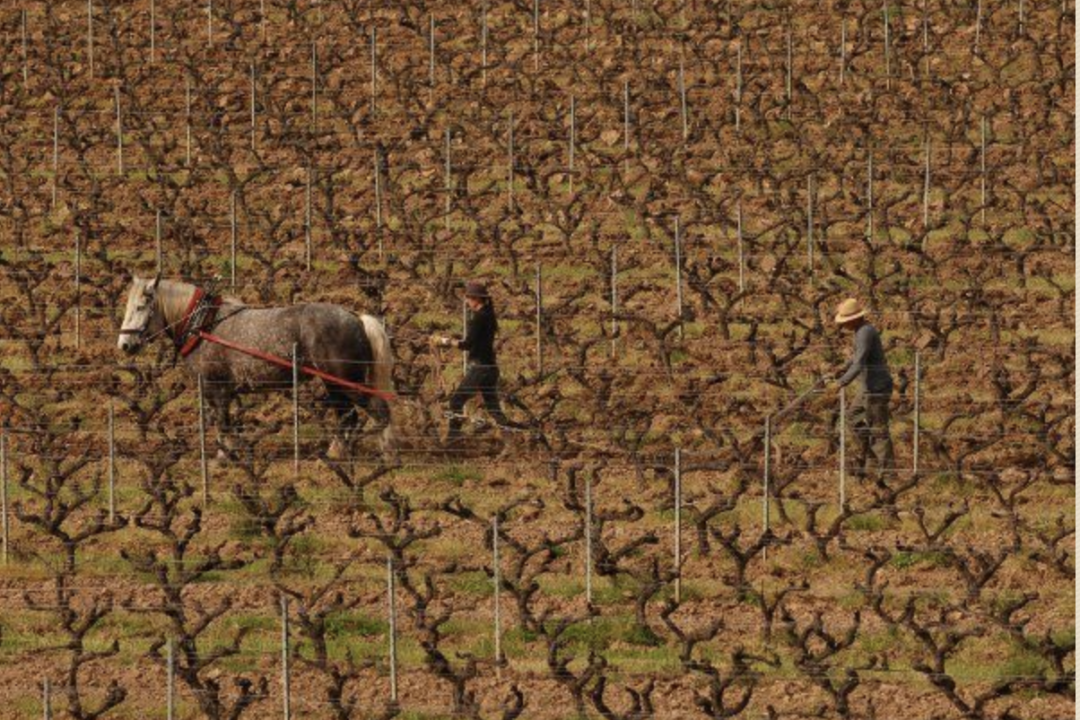 Et si vous labouriez votre esprit ?