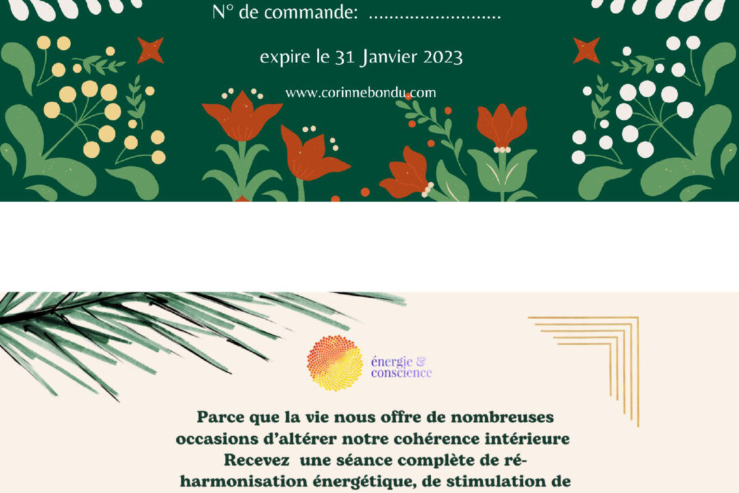 Soyez tendance ! Osez le cadeau énergétique !