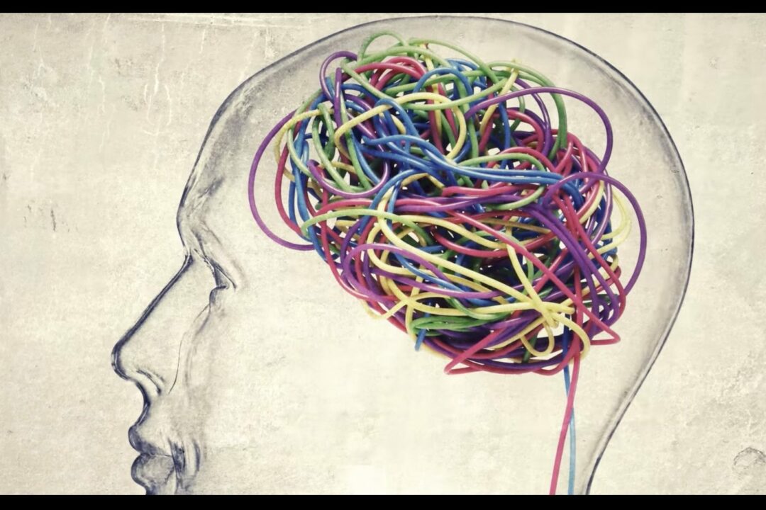 Attention! Violence scientifique !